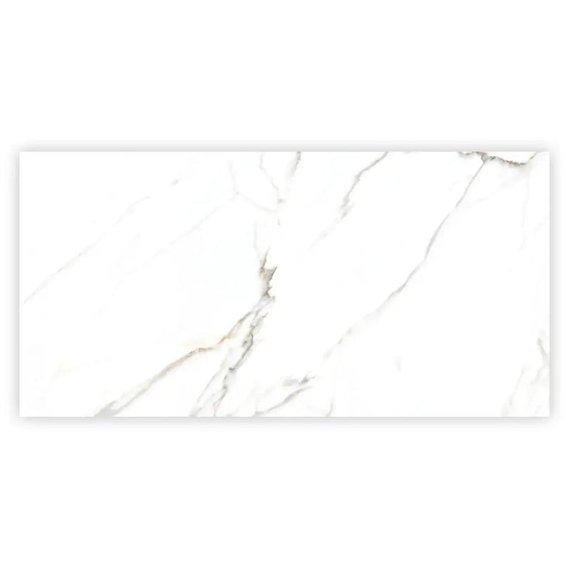 Bright White Gold 24x48 Polished Porcelain Large Format Tile (2 pack, 15.5 sq ft/case) by Apollo Tile