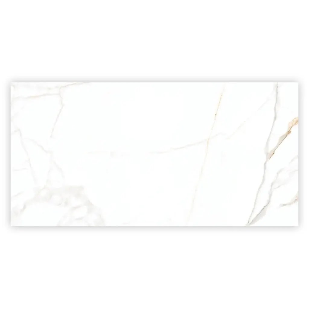 Bright White Gold 24x48 Polished Porcelain Large Format Tile (2 pack, 15.5 sq ft/case) by Apollo Tile