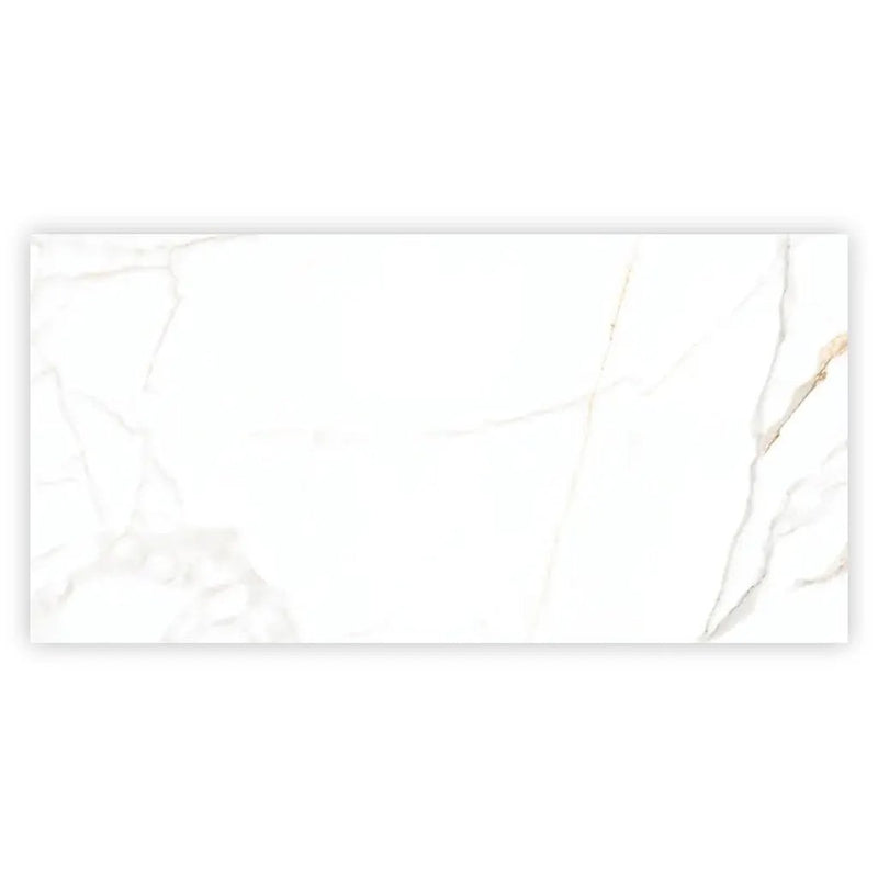 Bright White Gold 24x48 Polished Porcelain Large Format Tile (2 pack, 15.5 sq ft/case) by Apollo Tile