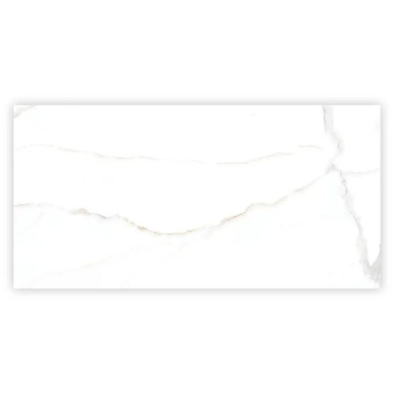 Bright White Gold 24x48 Polished Porcelain Large Format Tile (2 pack, 15.5 sq ft/case) by Apollo Tile