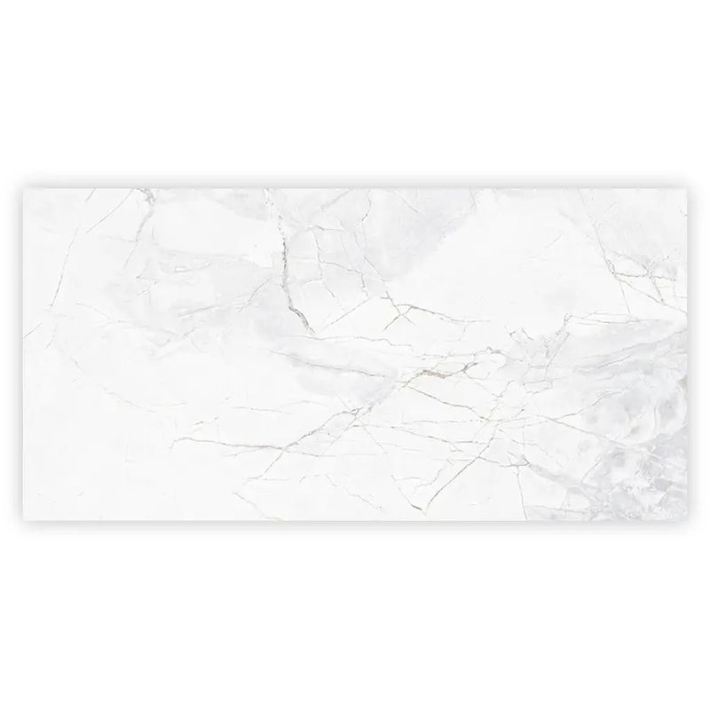 Bright White with Gray 24x48 Polished Porcelain Large Format Tile (2 pack, 15.5 sq ft/case) by Apollo Tile