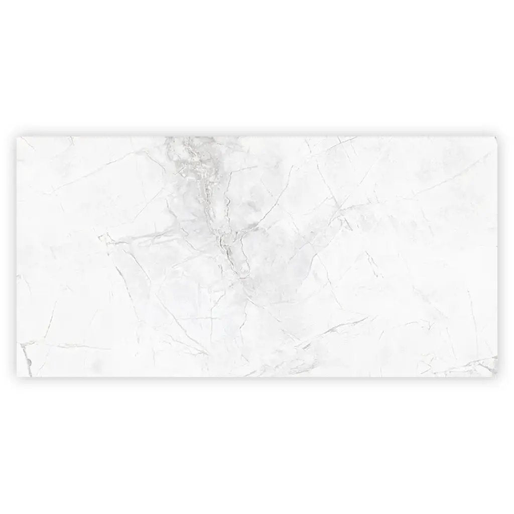 Bright White with Gray 24x48 Polished Porcelain Large Format Tile (2 pack, 15.5 sq ft/case) by Apollo Tile