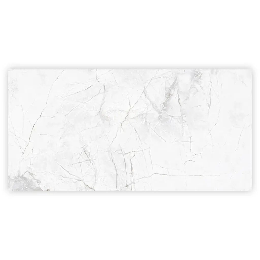 Bright White with Gray 24x48 Polished Porcelain Large Format Tile (2 pack, 15.5 sq ft/case) by Apollo Tile