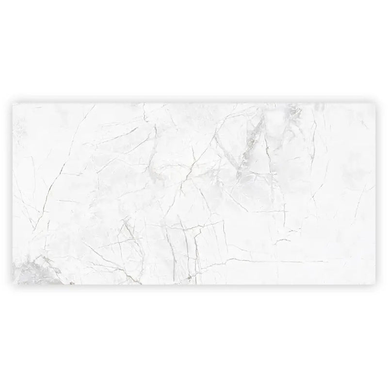 Bright White with Gray 24x48 Polished Porcelain Large Format Tile (2 pack, 15.5 sq ft/case) by Apollo Tile