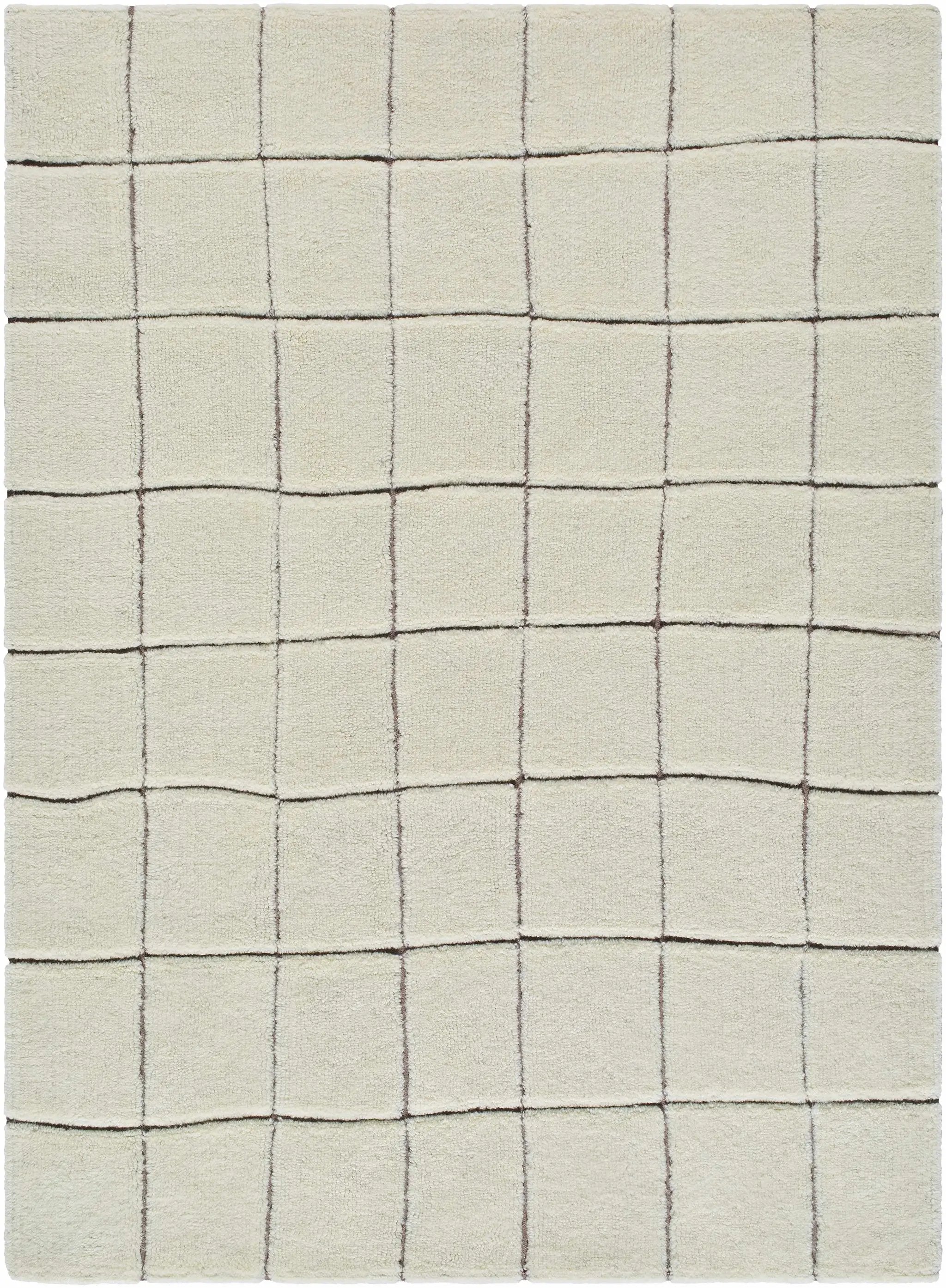 Caolan Washable Wool Rug by Boutique Rugs