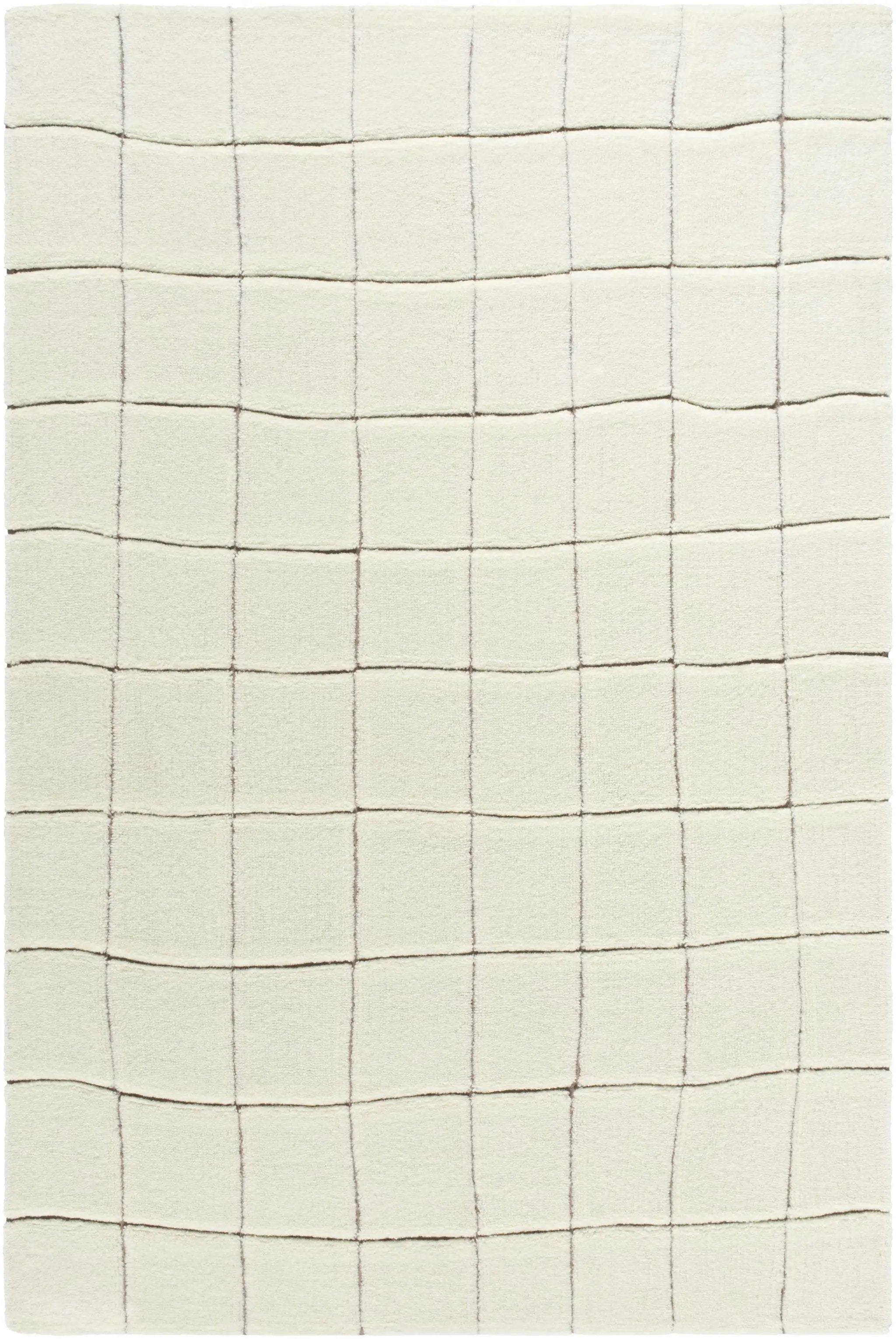 Caolan Washable Wool Rug by Boutique Rugs