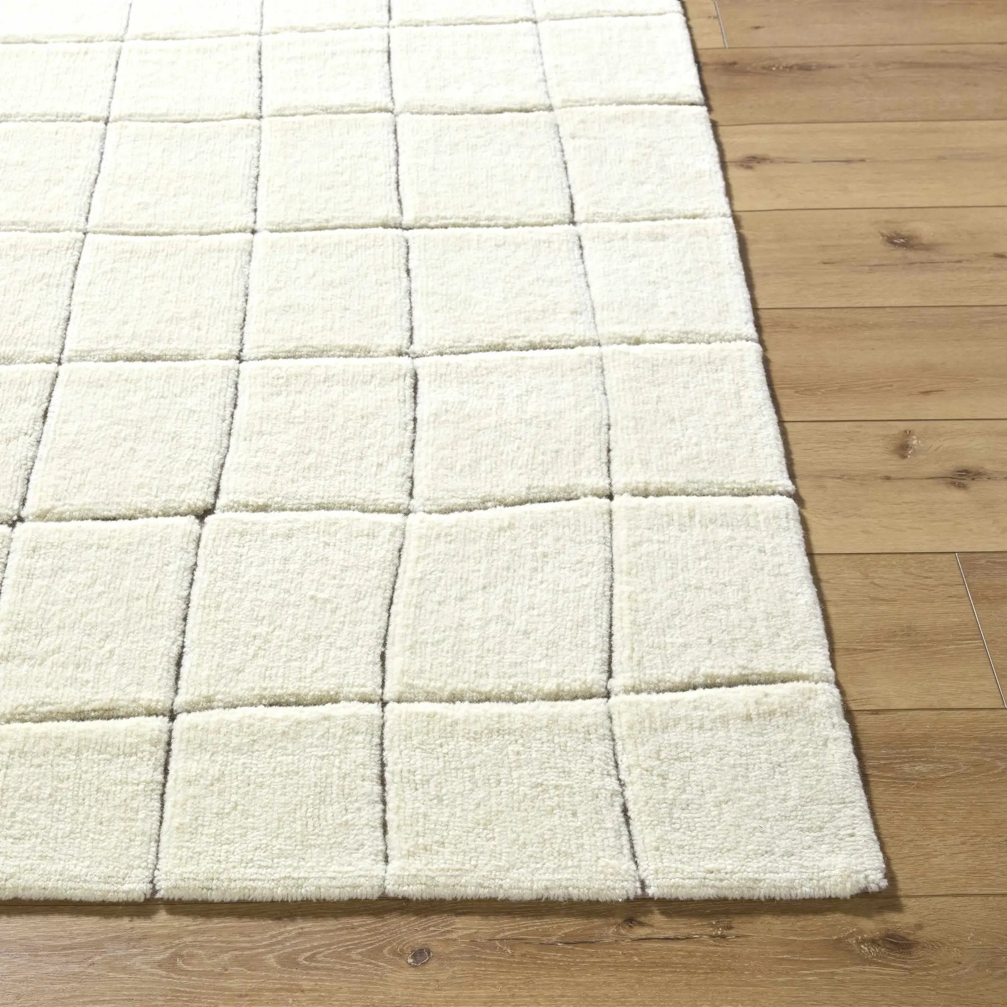 Caolan Washable Wool Rug by Boutique Rugs