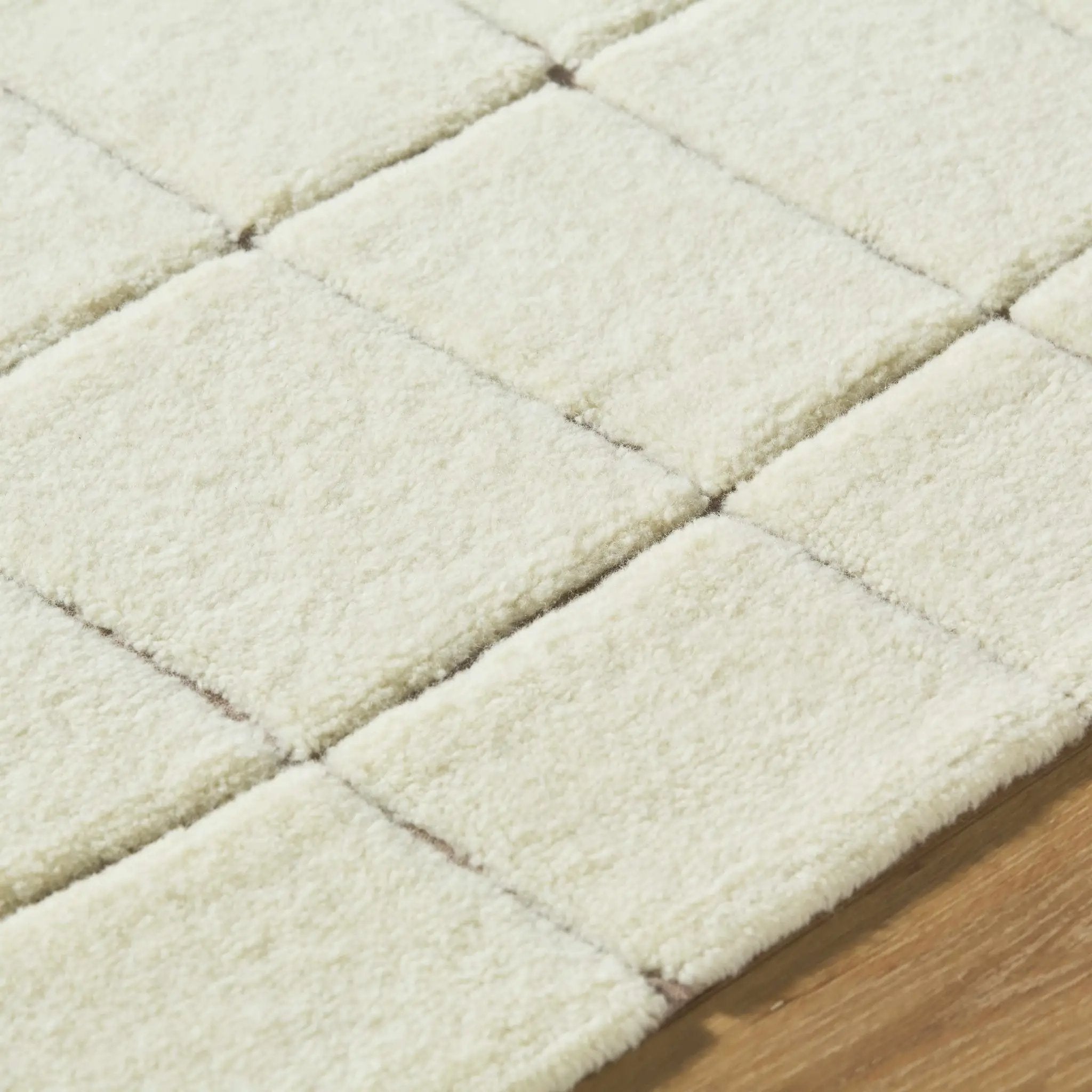 Caolan Washable Wool Rug by Boutique Rugs