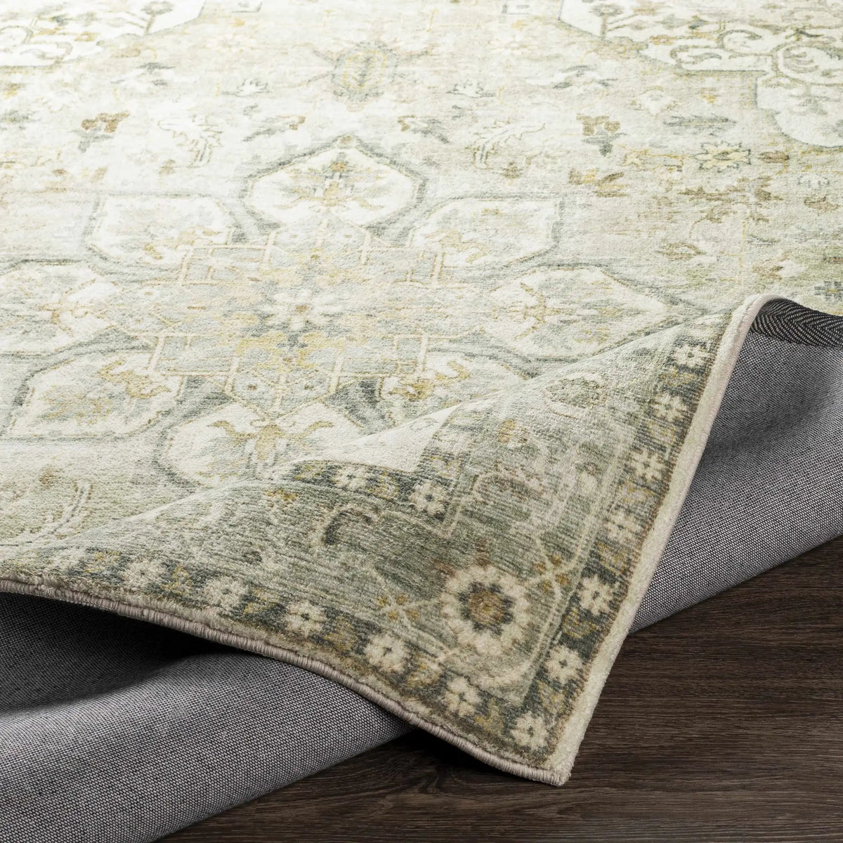 Crondall Sage Traditional Area Rug, photo 6 of 12