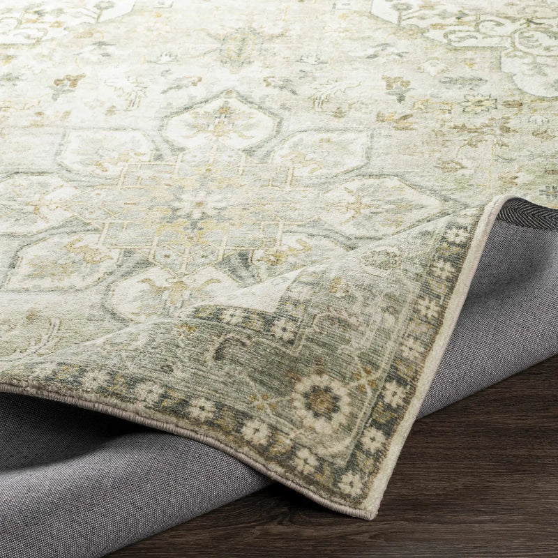 Crondall Sage Traditional Area Rug by Boutique Rugs