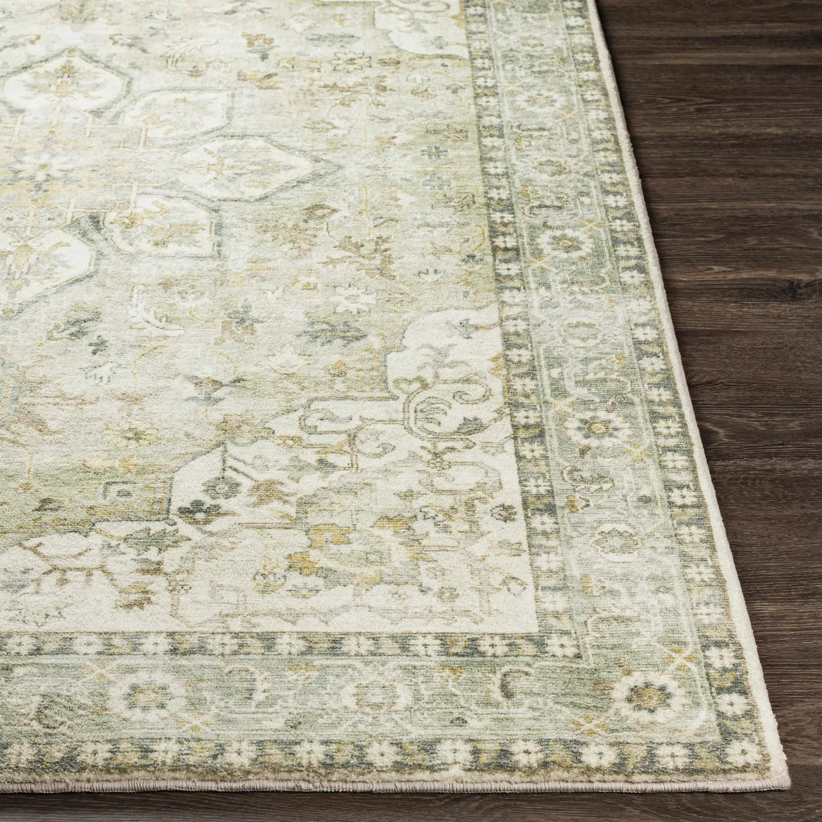 Crondall Sage Traditional Area Rug, photo 10 of 12