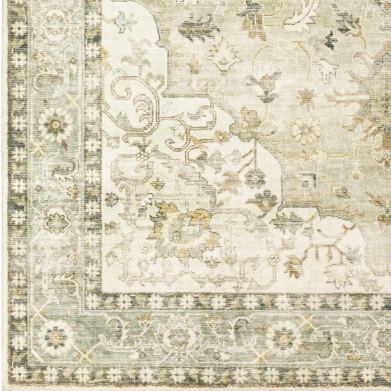 Crondall Sage Traditional Area Rug by Boutique Rugs