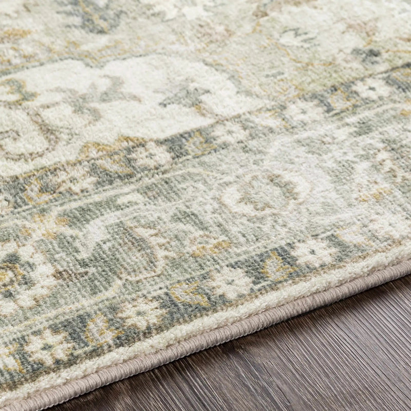 Crondall Sage Traditional Area Rug by Boutique Rugs