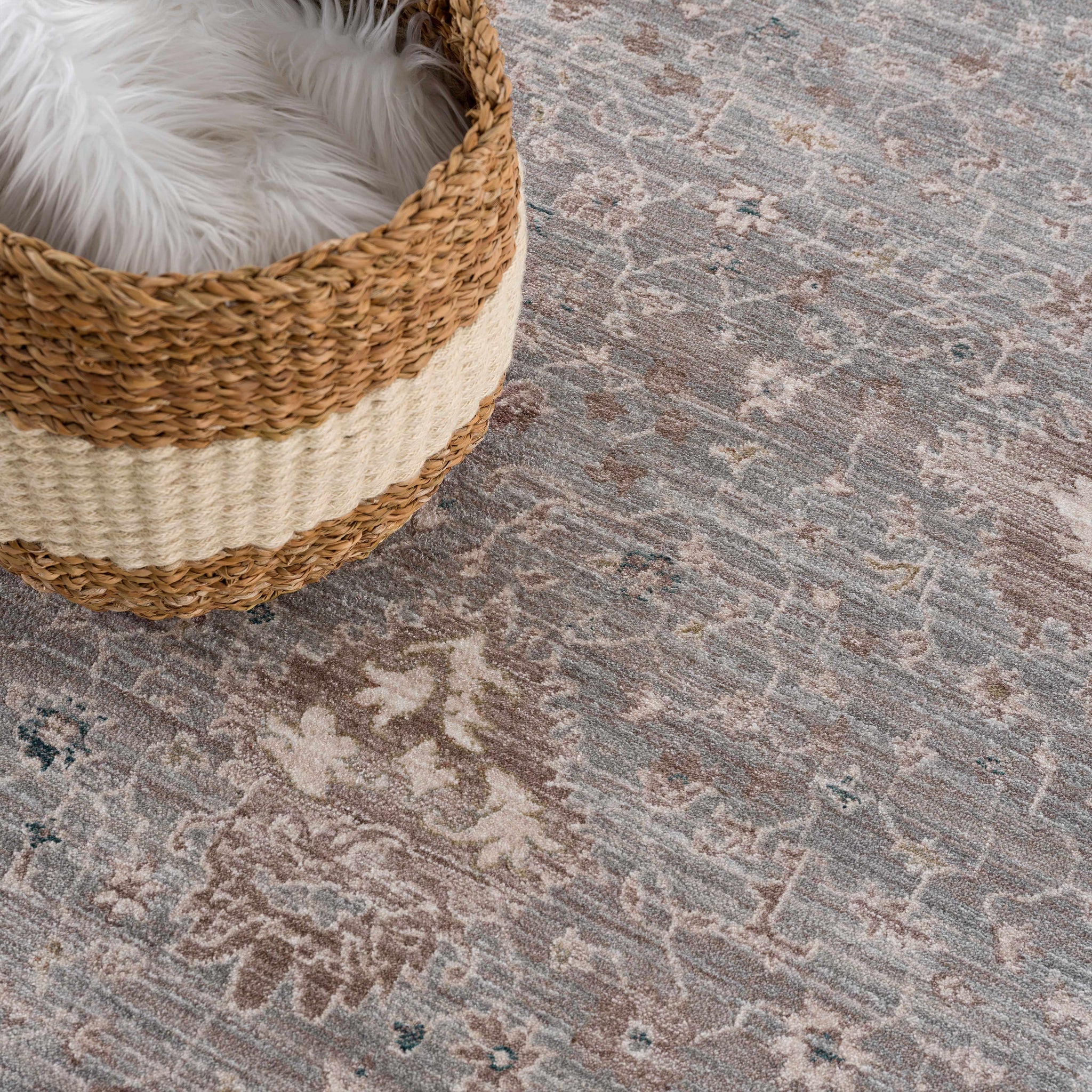 Scole Area Rug - Clearance by Boutique Rugs
