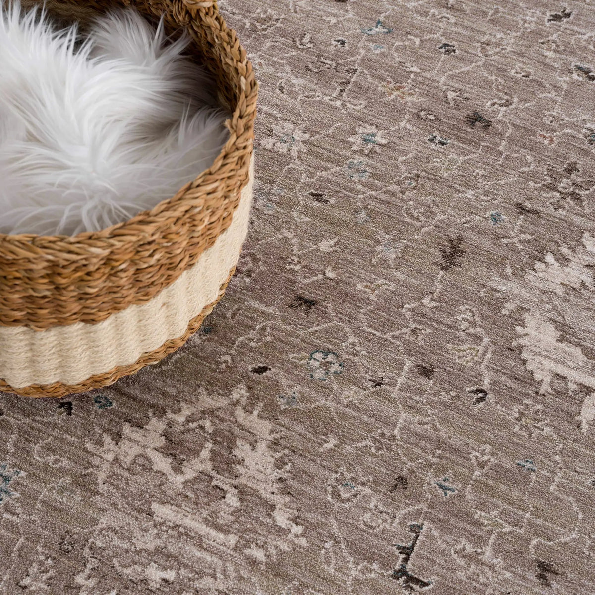 Bolitoc Area Rug - Clearance, photo 9 of 20
