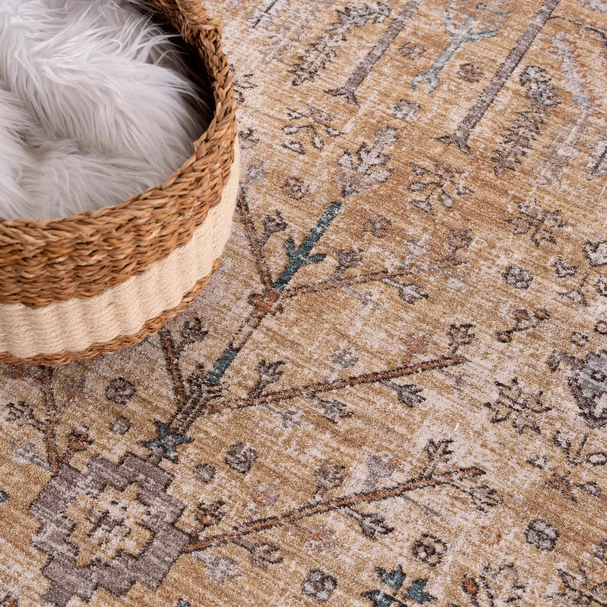 Darla Area Rug - Clearance, photo 9 of 12