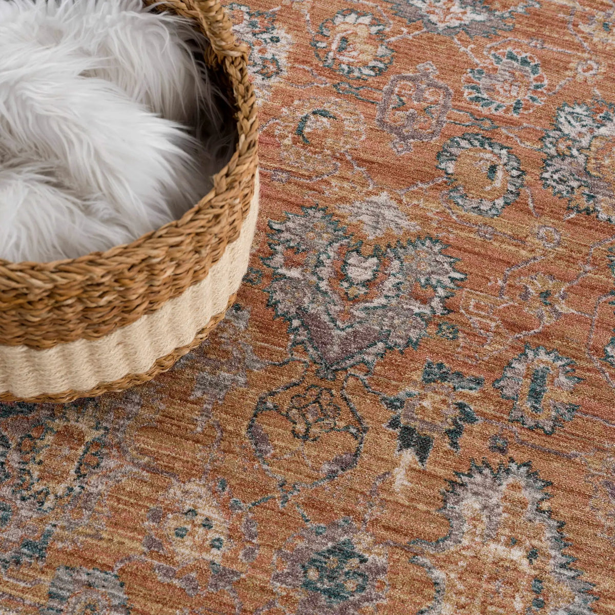 Cayla Area Rug - Clearance, photo 9 of 11