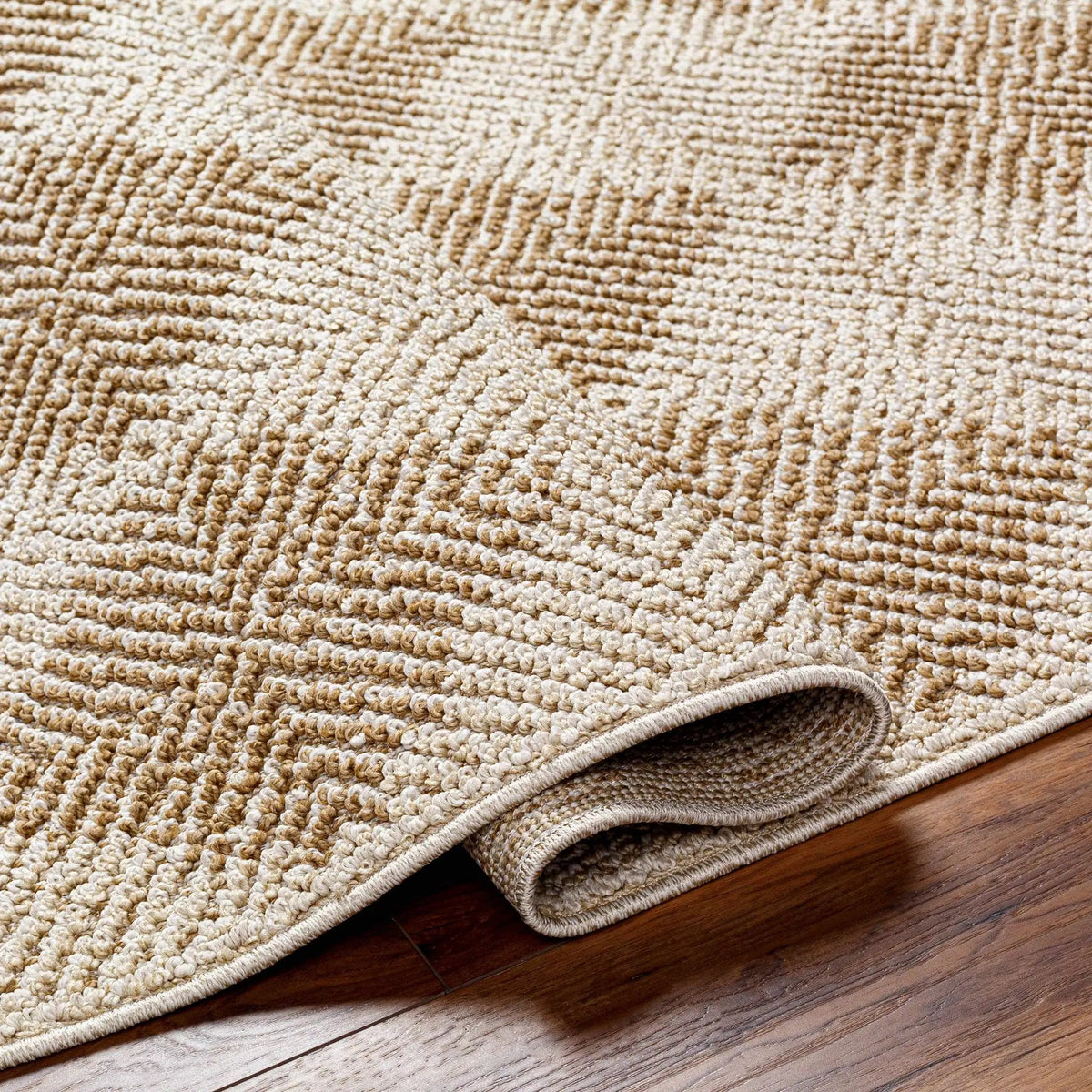 Collen Outdoor Area Rug, photo 7 of 8