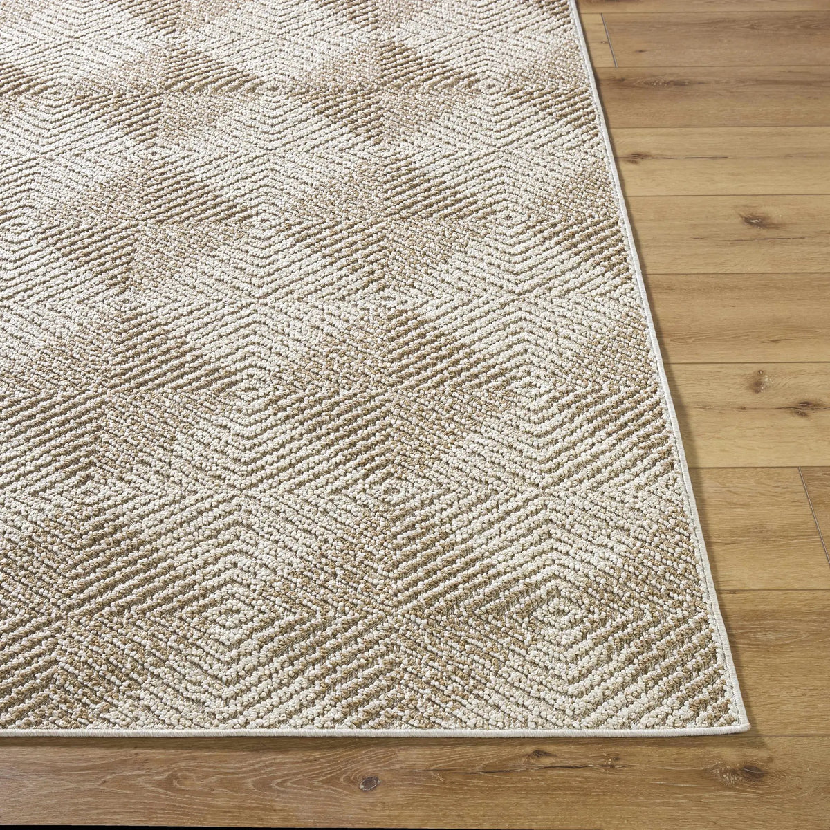 Collen Outdoor Area Rug, photo 5 of 8