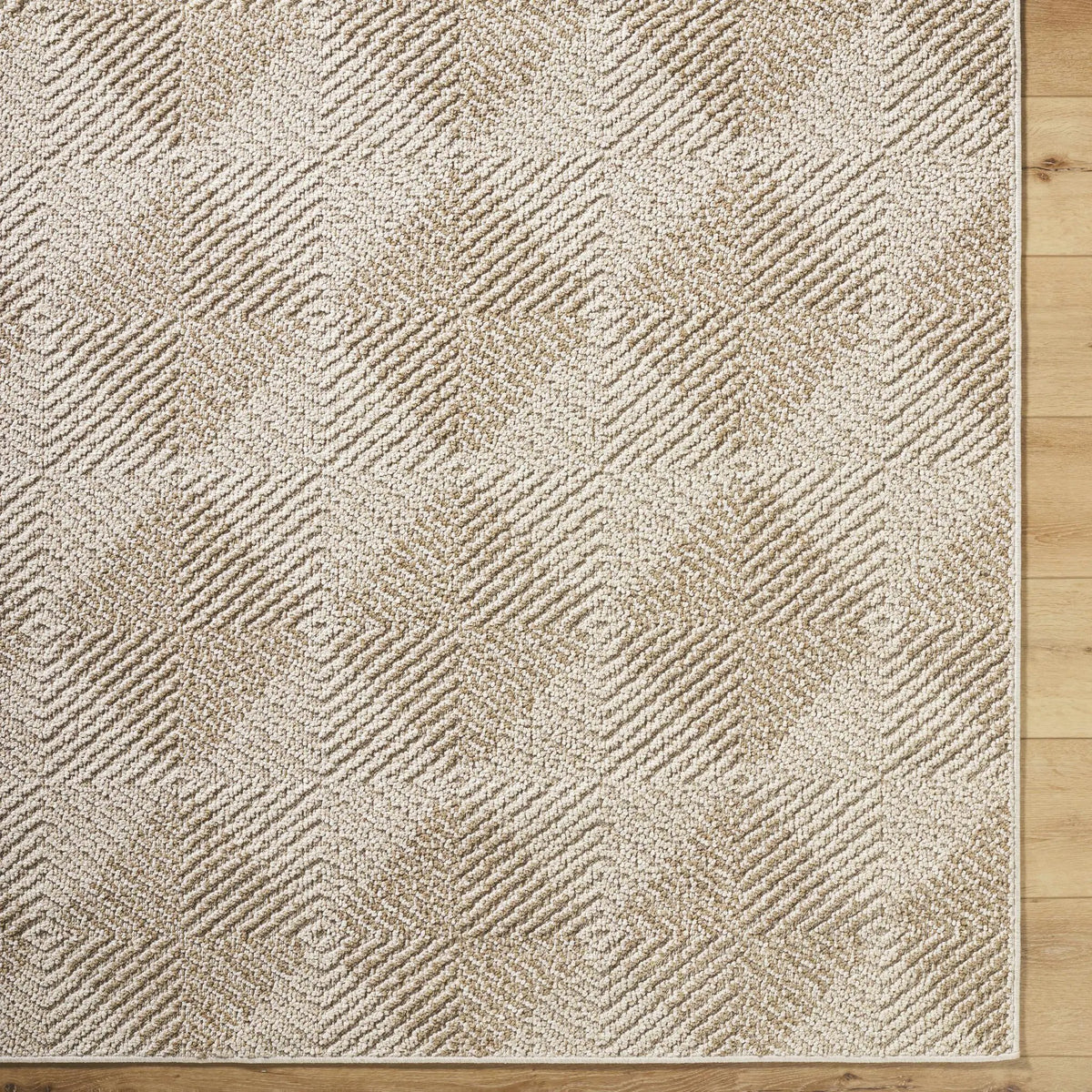 Collen Outdoor Area Rug, photo 6 of 8