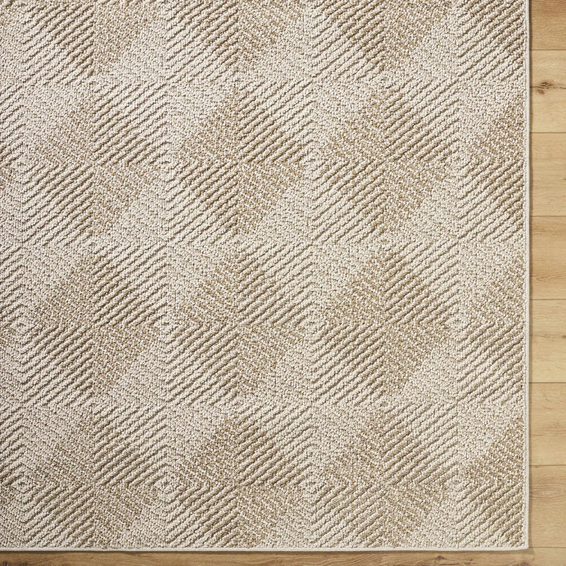 Collen Outdoor Area Rug by Boutique Rugs