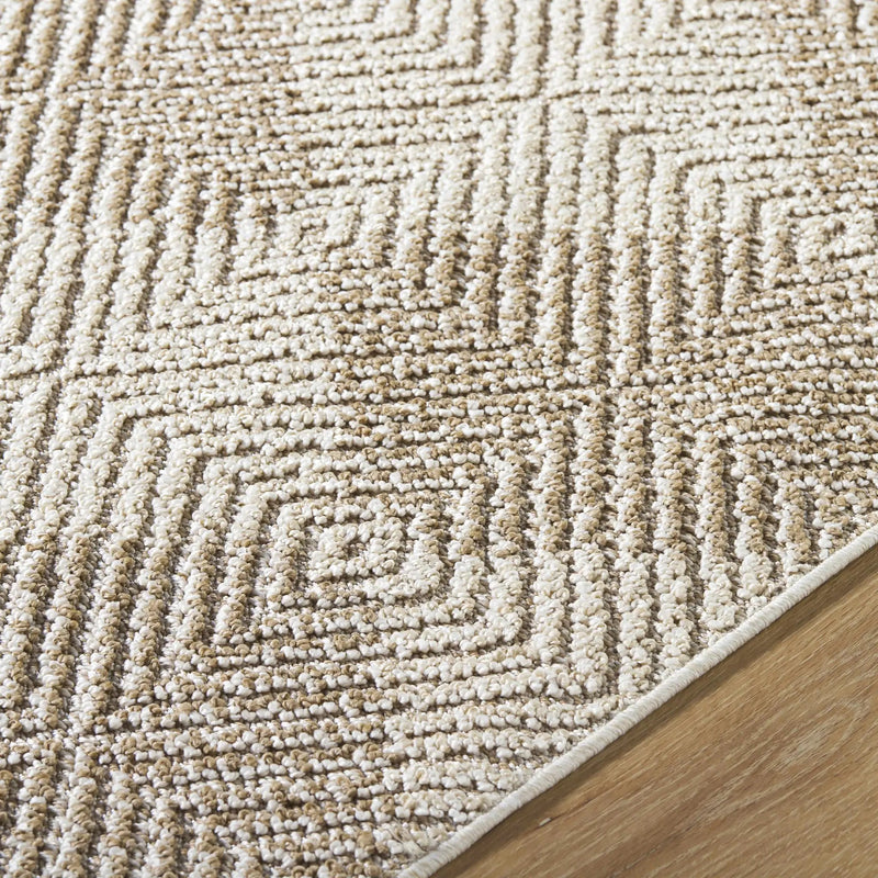 Collen Outdoor Area Rug by Boutique Rugs