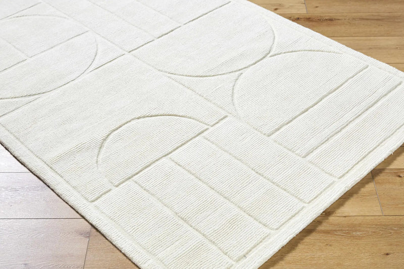 Carola Area Rug - Clearance by Boutique Rugs
