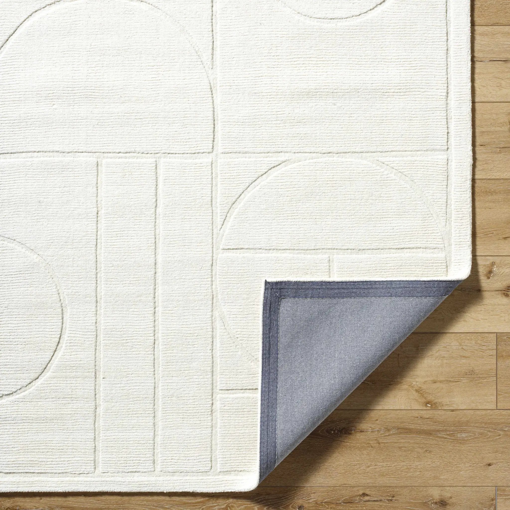 Carola Area Rug - Clearance by Boutique Rugs