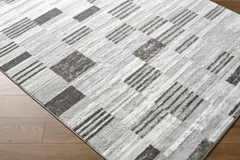 Chiaki Light Gray Area Rug by Boutique Rugs