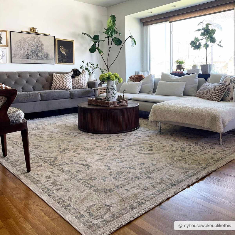 Clee Area Rug - Clearance by Boutique Rugs