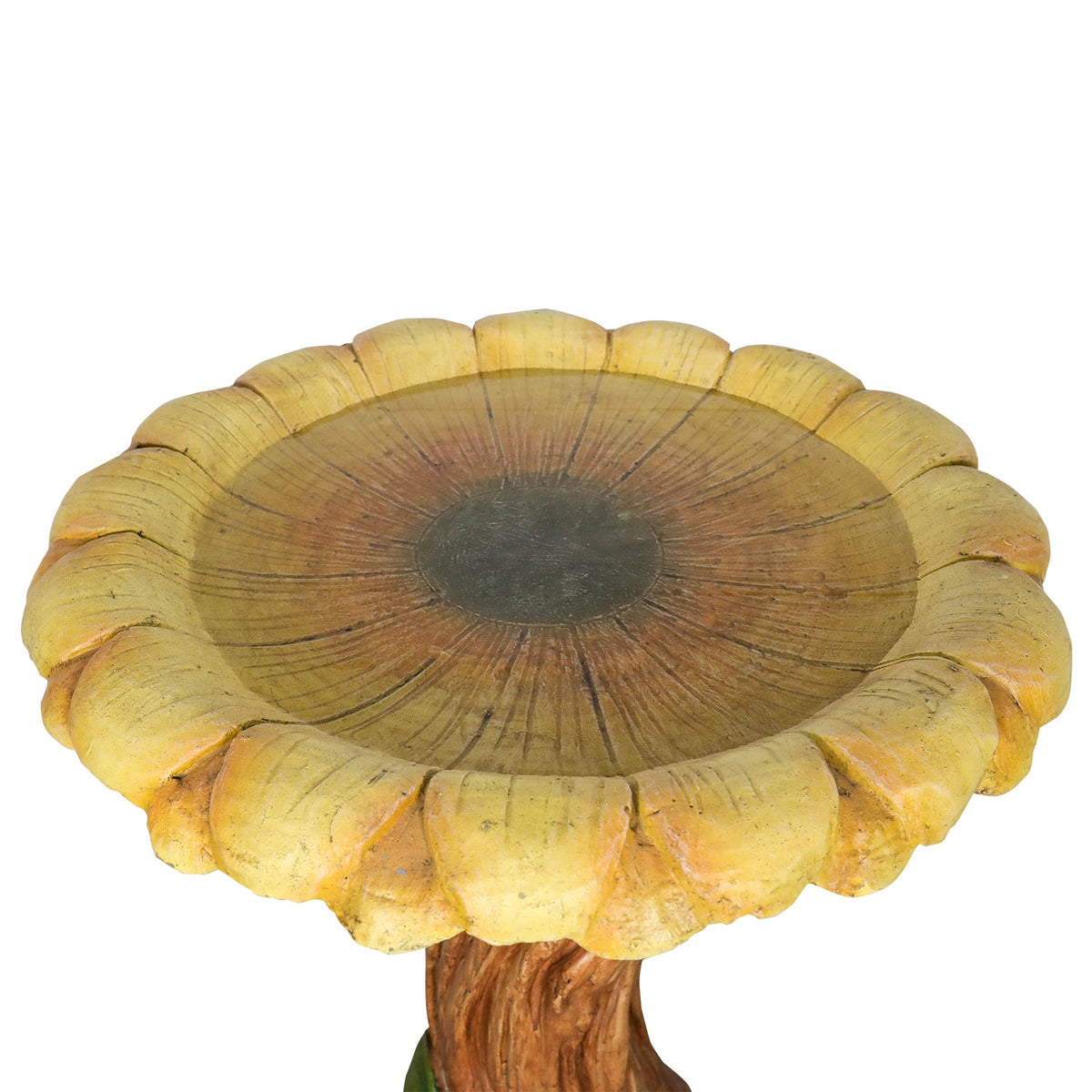 Concrete Wooden Bird Bath Sunflower on Trunk 24 Inch, close-up of the surface