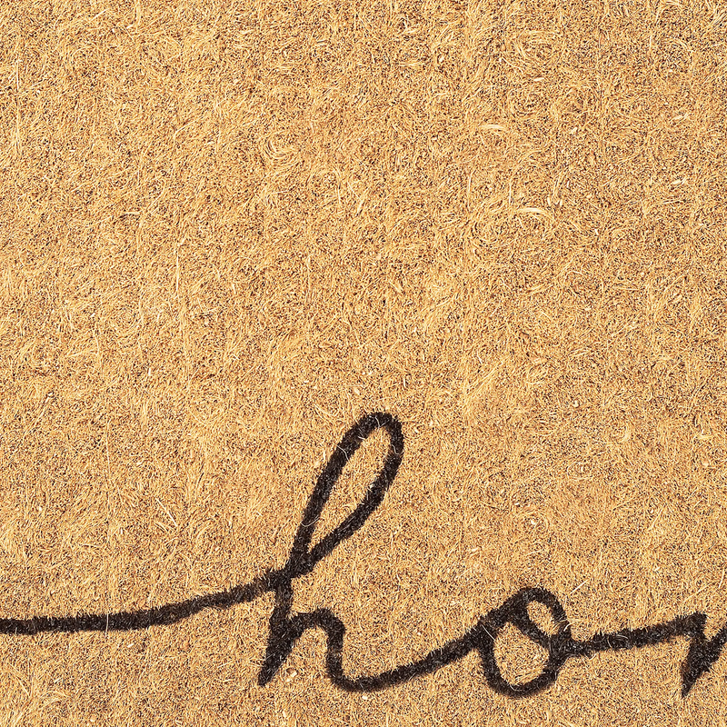 Home Line Art Coir Doormat by Fab Habitat