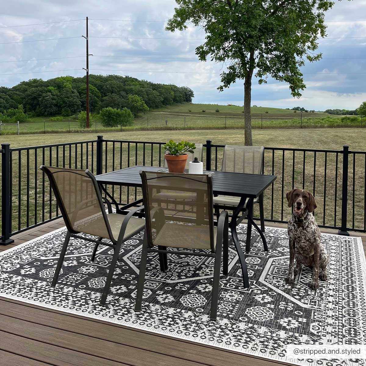 Kingscliff Nordic Outdoor Rug - Clearance, photo 2 of 28
