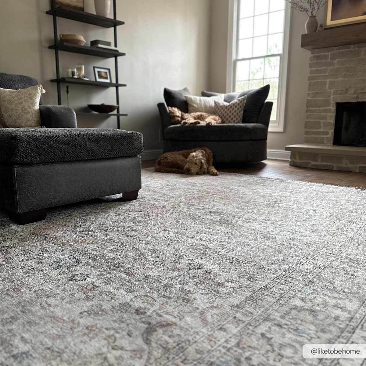 Cream Holi-2301 Washable Area Rug by Hauteloom