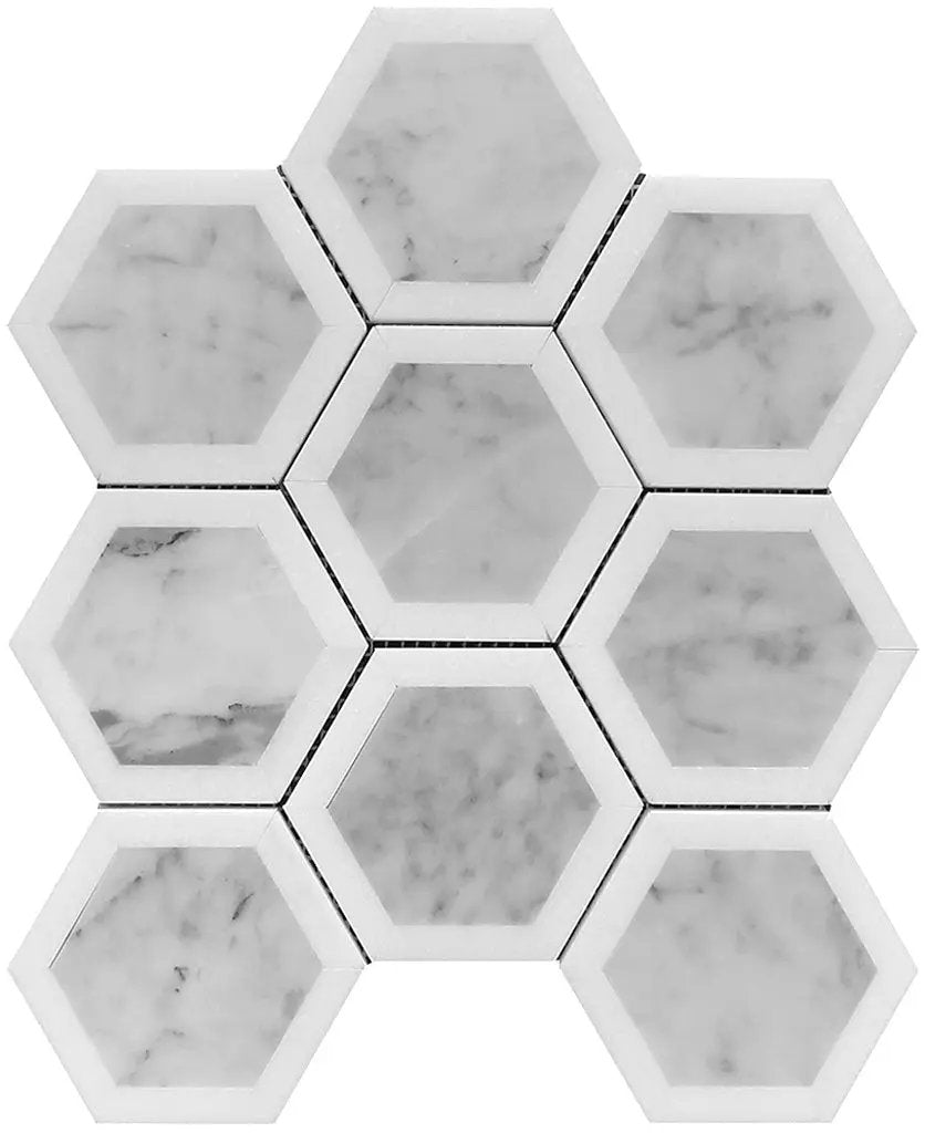 White Gray 10x12 Polished Hexagon Bianco Carrara Thassos Marble Mosaic Tile (5 pack, 4.34 sq ft/case) by Apollo Tile