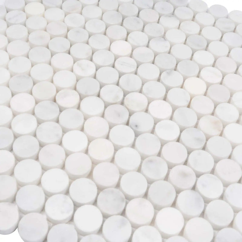 White 11x12 Polished Penny Round Bianco Carrara Marble Mosaic Tile (5 pack, 4.82 sq ft/case) by Apollo Tile