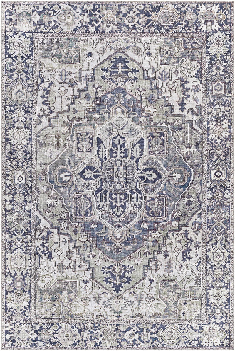 Neyland Iris Gray Area Rug 2359 by Boutique Rugs