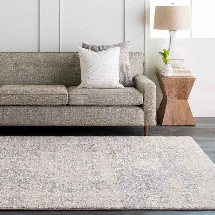 3' x 5' Distressed Oriental Area Rug in Light Grey / Beige by HomePacific
