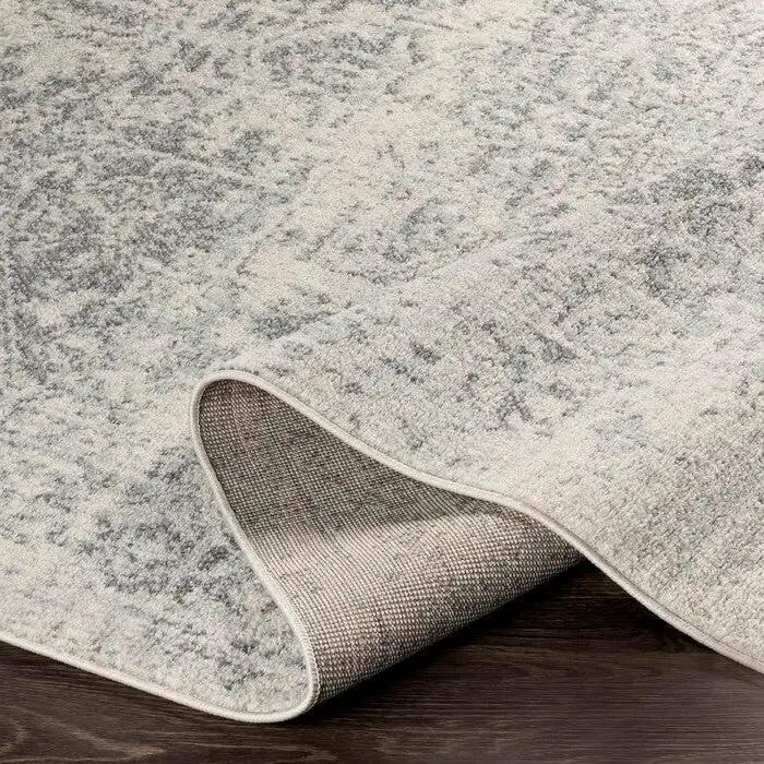 3' x 5' Distressed Oriental Area Rug in Light Grey / Beige by HomePacific