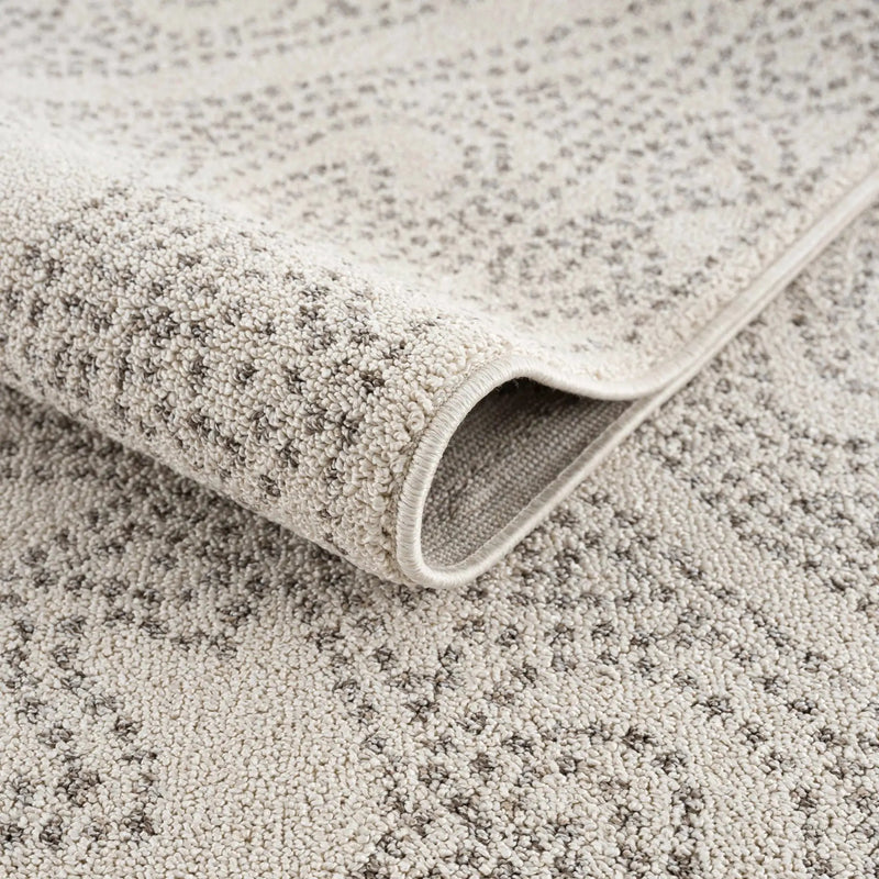 Birdwood Cream & Brown Area Rug by Hauteloom