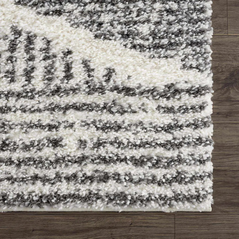 Trunding Plush Area Rug by Boutique Rugs