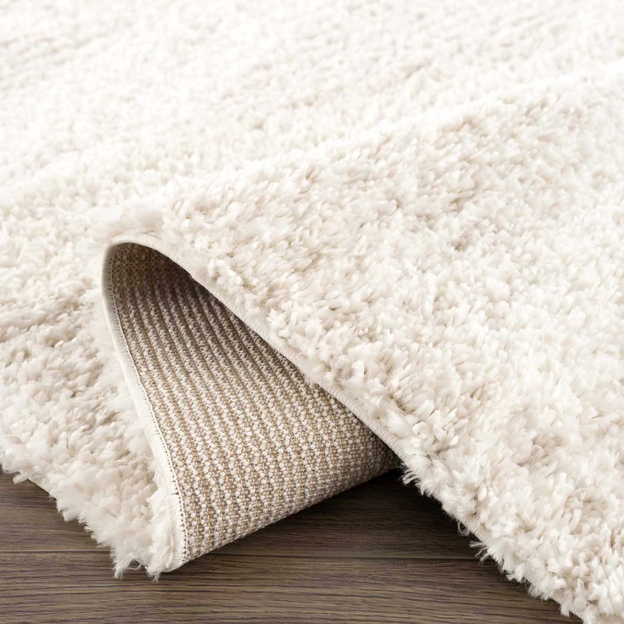 Trunding Plush Area Rug in Light Beige by Hauteloom