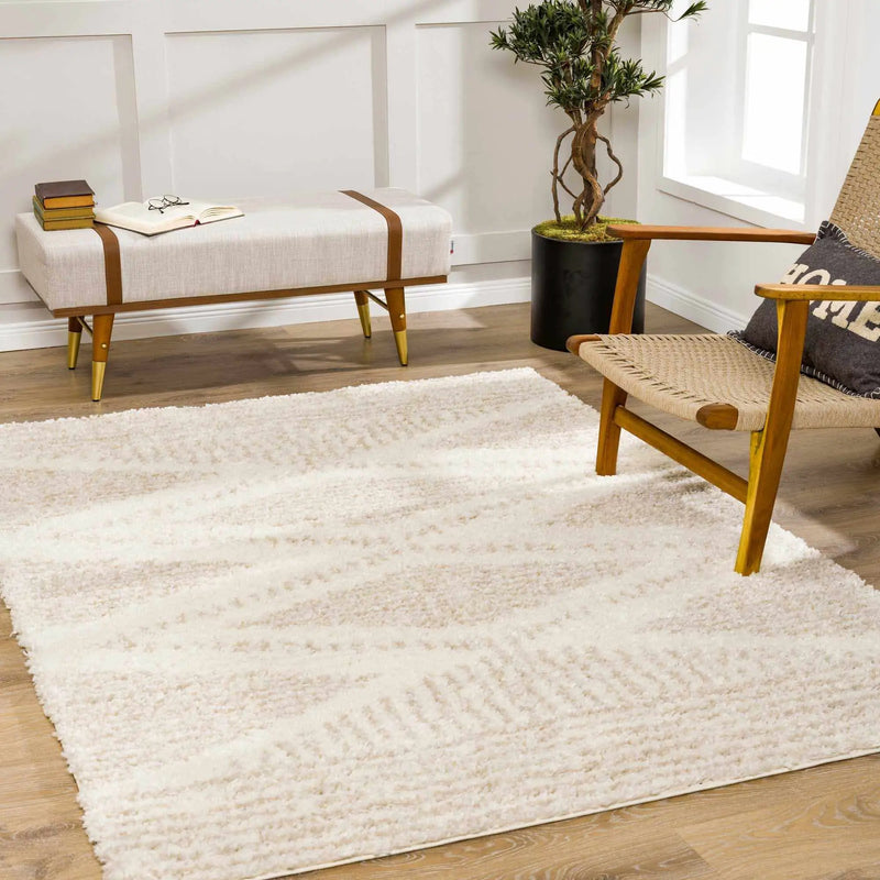 Trunding Plush Area Rug in Light Beige by Hauteloom