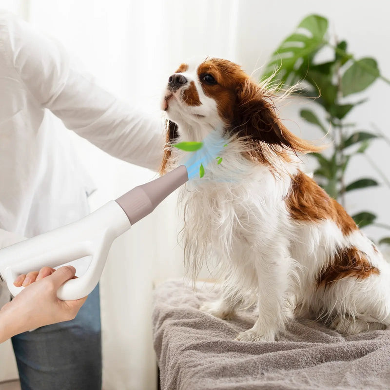 Dog Cat Hair Blower with Negative Ion Function and Adjustable Temperature by DirectDeals