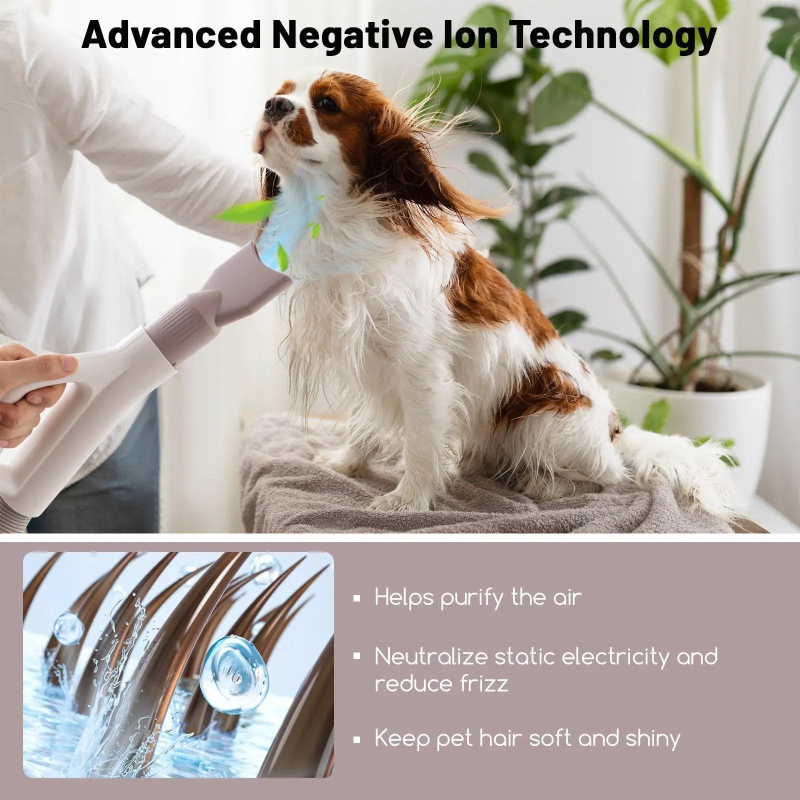 Dog Cat Hair Blower with Negative Ion Function and Adjustable Temperature by DirectDeals