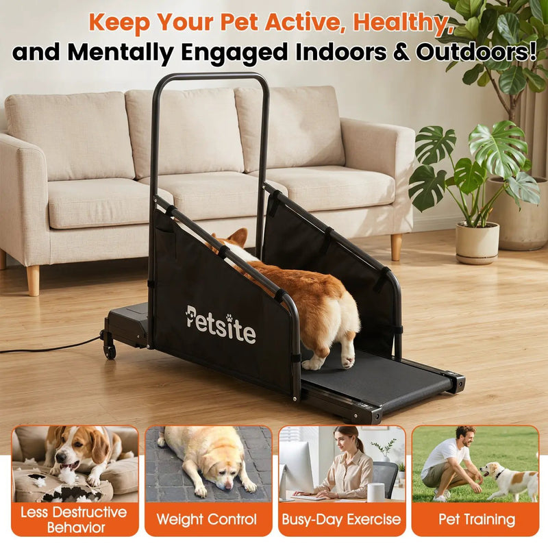Dog Treadmill with Remote Control and LCD Display by DirectDeals