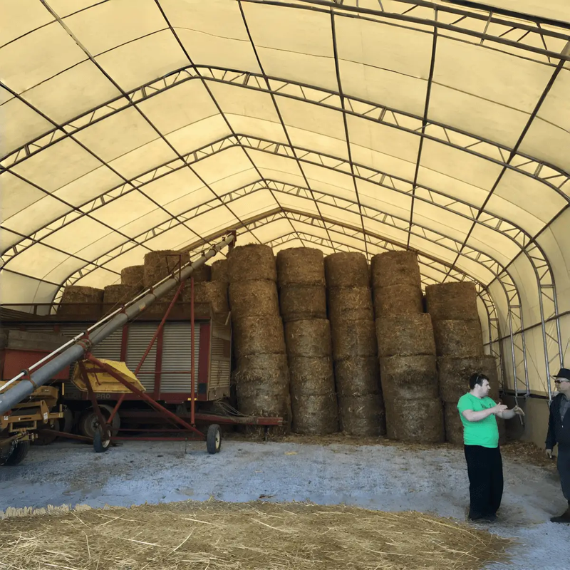 W40'xL80'xH21' Double Truss Storage Shelter, 10' Truss Spacing by Chery Industrial