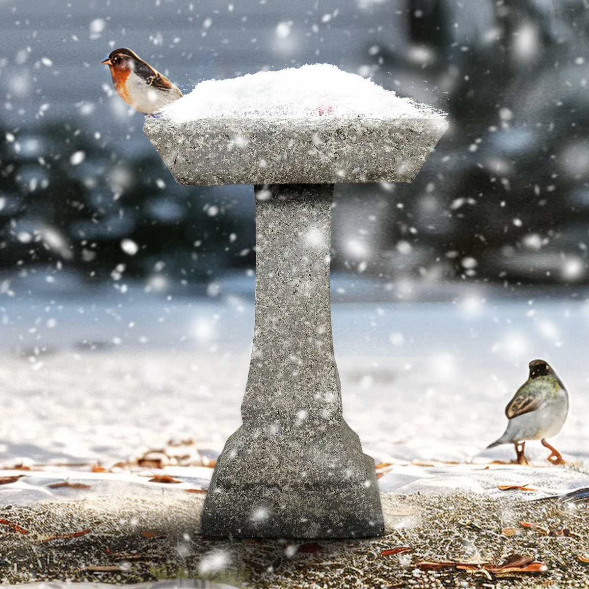 Concrete Garden Bird Bath Square Pedestal 22 Inch, photo 3 of 4