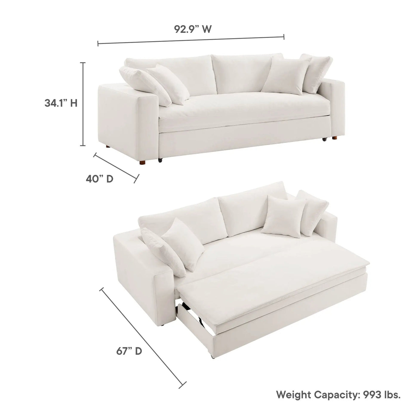 Commix Down Filled Overstuffed Sleeper Sofa by Modway by HouseOfZazla