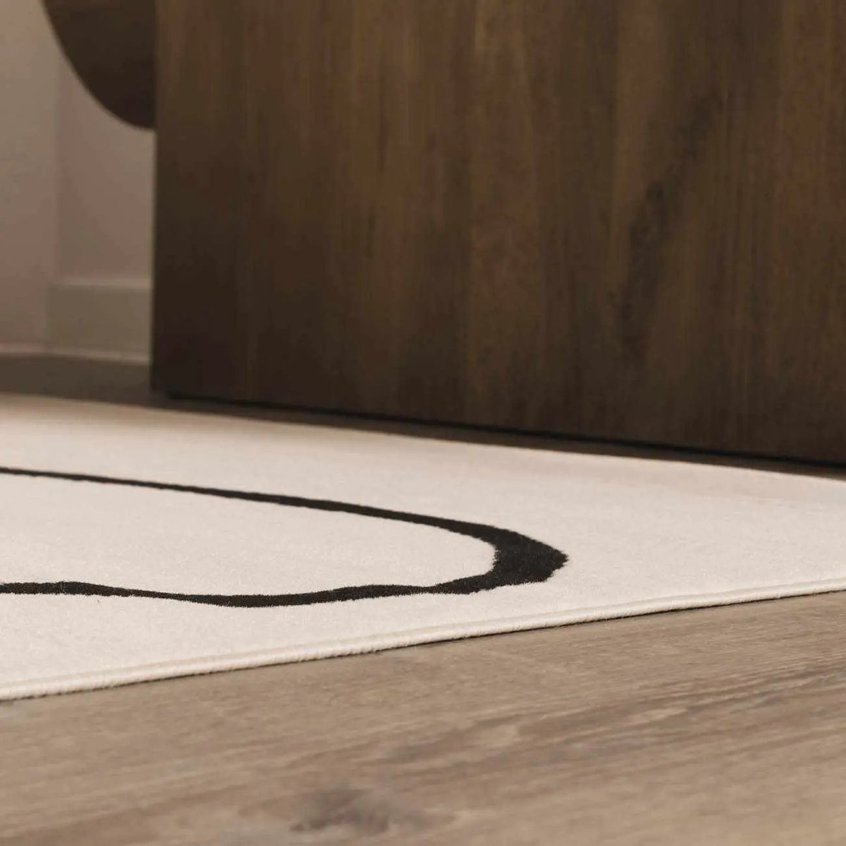 Eilir Modern Low Profile Boho Rug, installed in a room 5